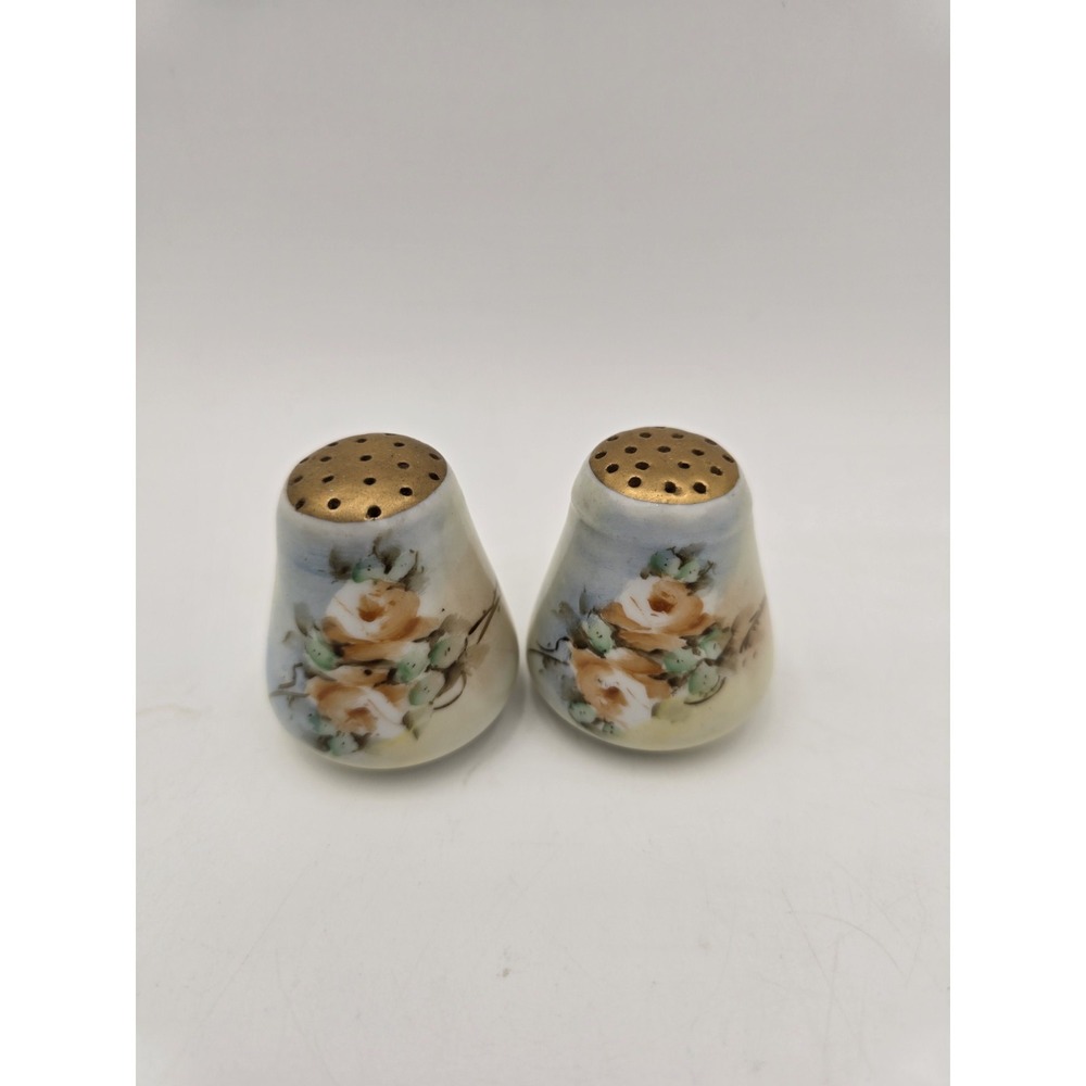 Vintage Porcelain China Salt And pepper‎ Shakers Handpainted Roses Gold Accents